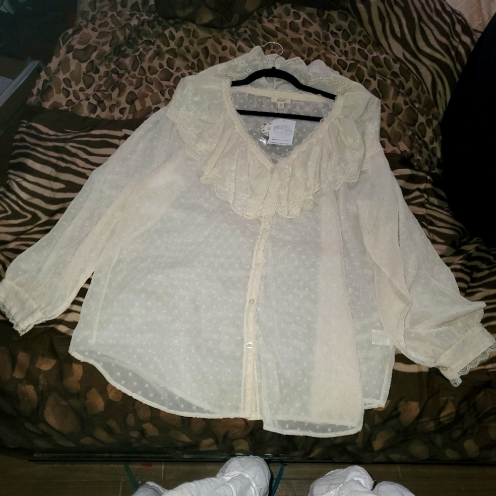 Oddy Ruffle Collar Sheer Blouse 2x